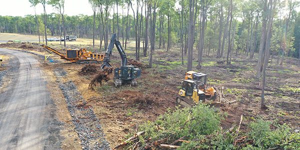 clearing land